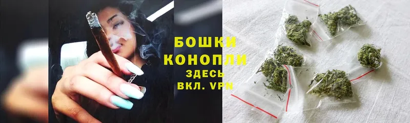 Бошки Шишки SATIVA & INDICA  Завитинск 